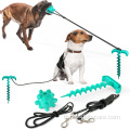 Hot Style Pull Leash Grinding Stick Brosse à Dents Chew